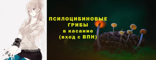 PSILOCYBIN Нефтегорск