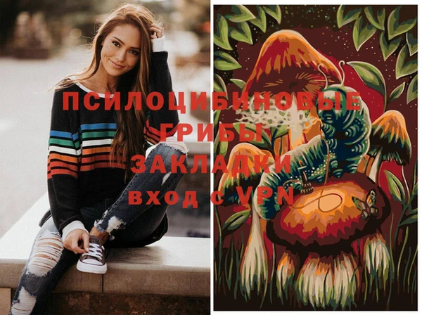 стаф Нефтекумск